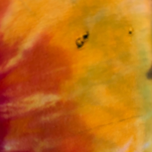 Tie Dye Grateful Dead Bear - Picture 4 of 6